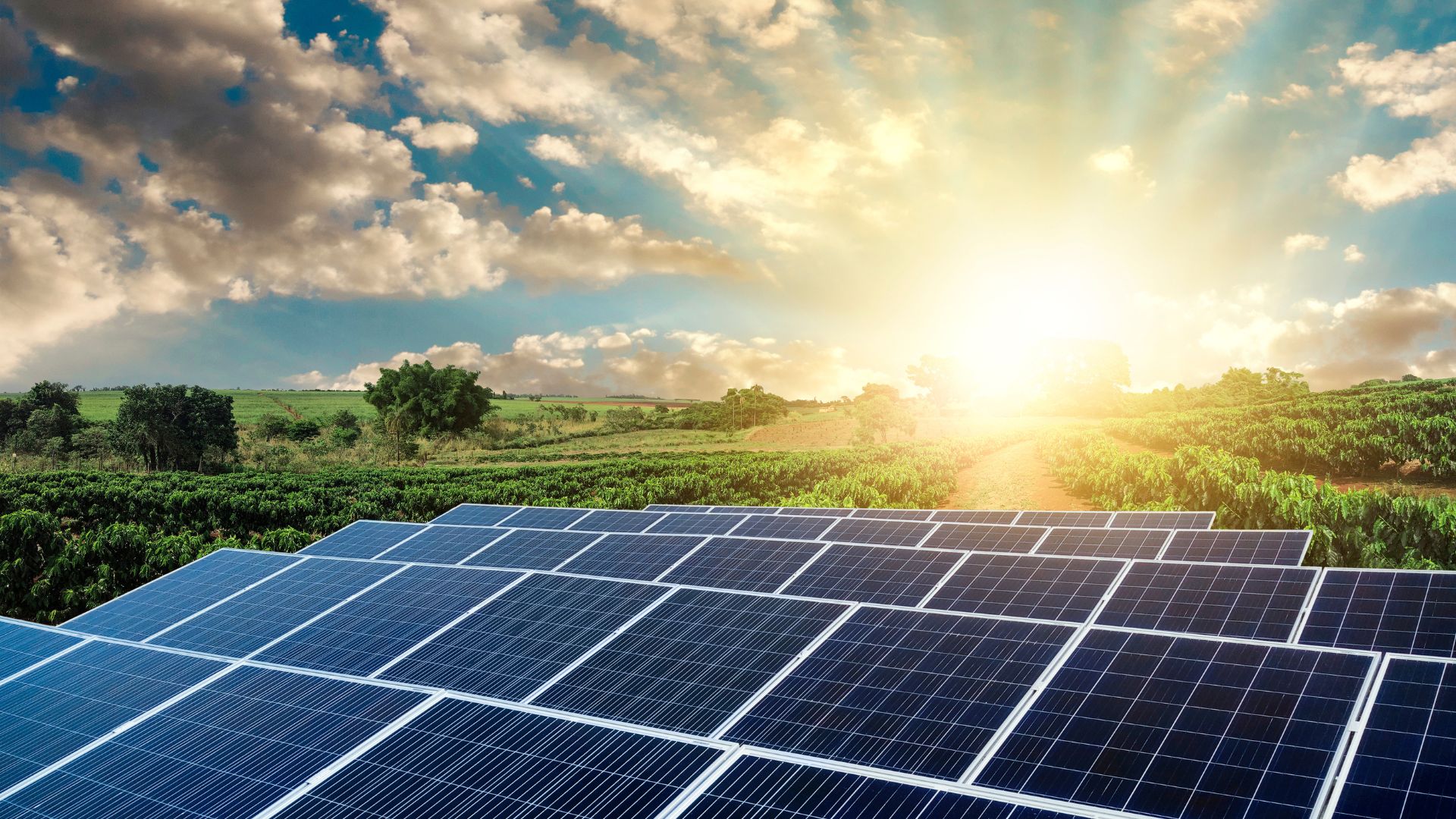 Energie Solaire Entreprise
